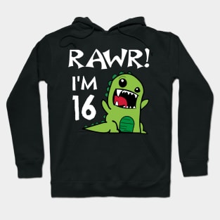 16th Birthday Dinosaur Hoodie